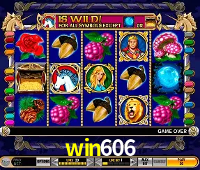 Experiência VIP win606